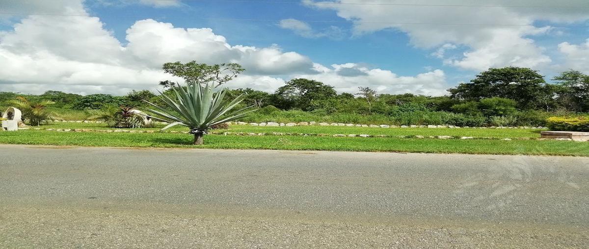 Foto de terreno habitacional en venta en  , chicxulub, chicxulub pueblo, yucatán, 15958842 No. 03