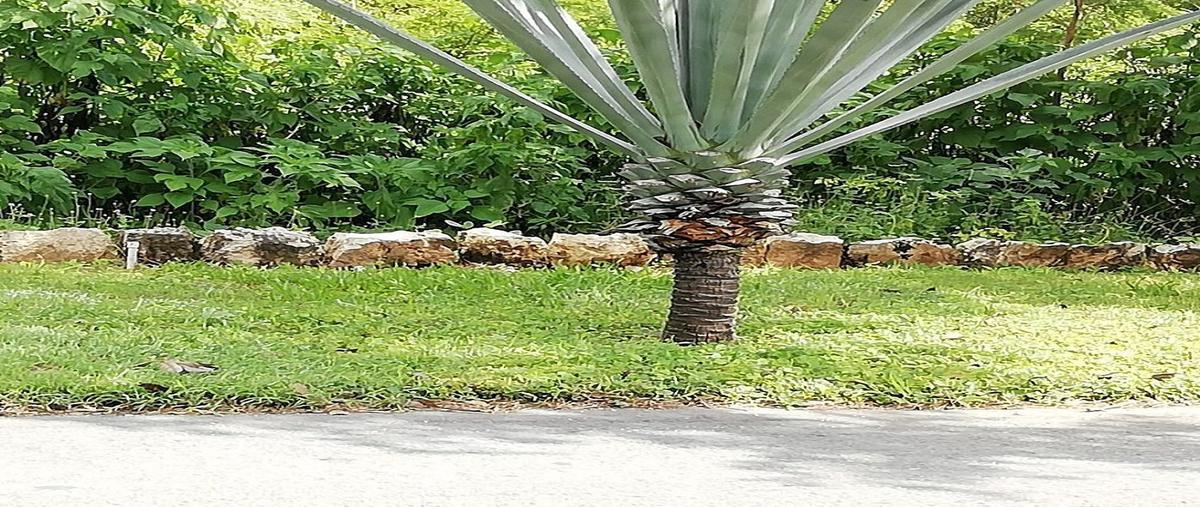 Foto de terreno habitacional en venta en  , chicxulub, chicxulub pueblo, yucatán, 15958842 No. 04