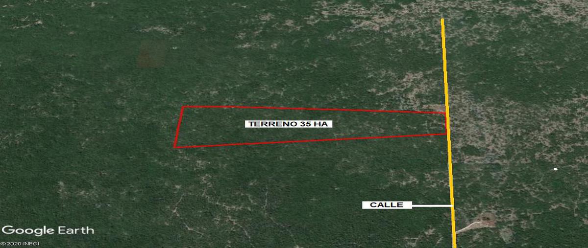 Foto de terreno habitacional en venta en  , chicxulub, chicxulub pueblo, yucatán, 18025631 No. 05