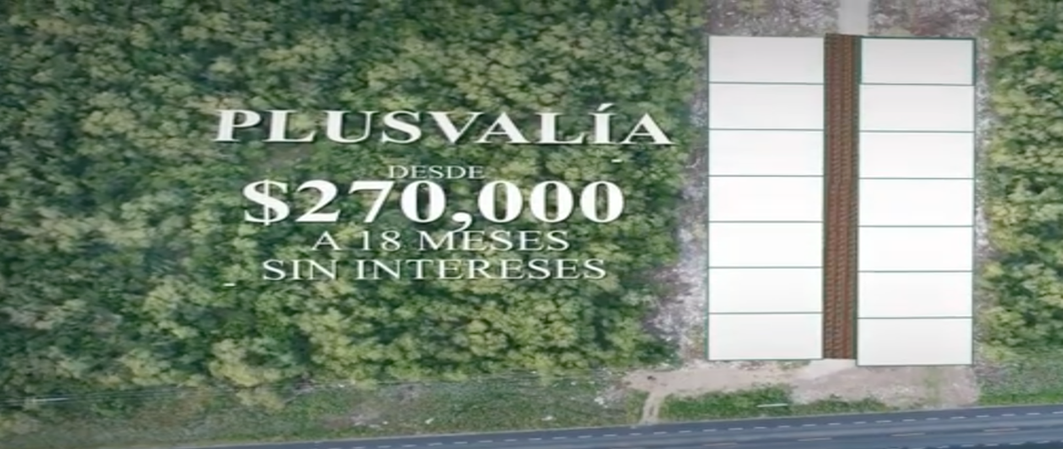 Foto de terreno habitacional en , chicxulub, chicxulub pueblo, yucatán, 18671764 foto 03 Foto de terreno habitacional en venta en , chicxulub, chicxulub pueblo, yucatán, 18671764 No. 03