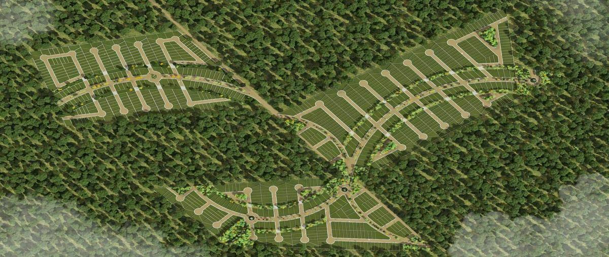 Foto de terreno habitacional en , chicxulub, chicxulub pueblo, yucatán, 20850208 foto 01 Foto de terreno habitacional en venta en , chicxulub, chicxulub pueblo, yucatán, 20850208 No. 01