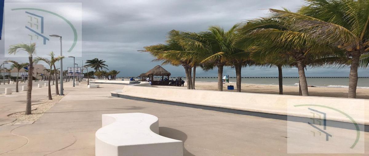 Foto de terreno habitacional en , chicxulub, chicxulub pueblo, yucatán, 23259154 foto 03 Foto de terreno habitacional en venta en , chicxulub, chicxulub pueblo, yucatán, 23259154 No. 03