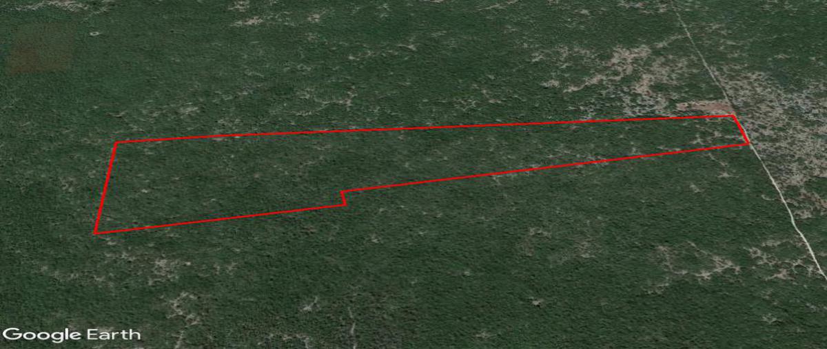 Foto de terreno habitacional en venta en  , chicxulub, chicxulub pueblo, yucatán, 0 No. 03