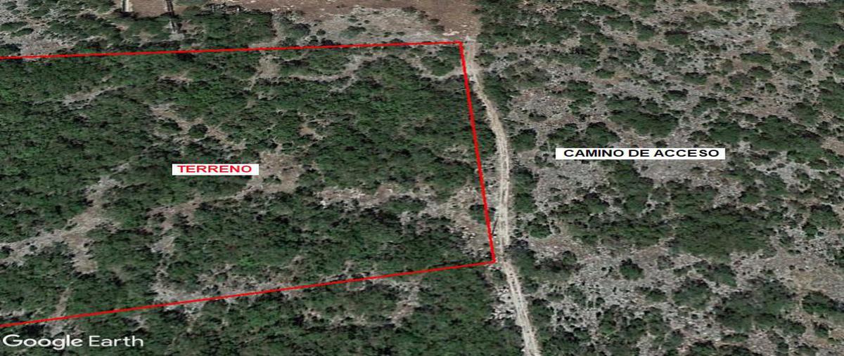 Foto de terreno habitacional en venta en  , chicxulub, chicxulub pueblo, yucatán, 0 No. 04