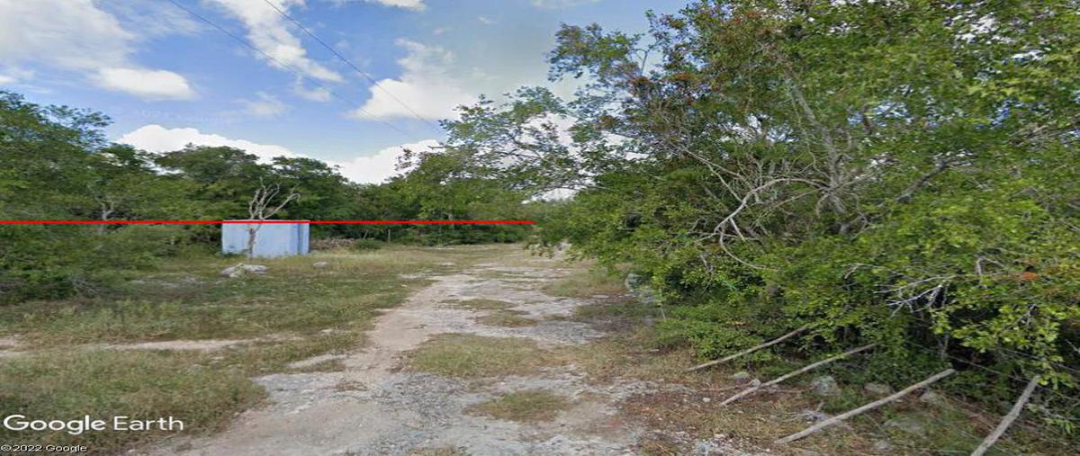 Foto de terreno habitacional en venta en  , chicxulub, chicxulub pueblo, yucatán, 0 No. 05