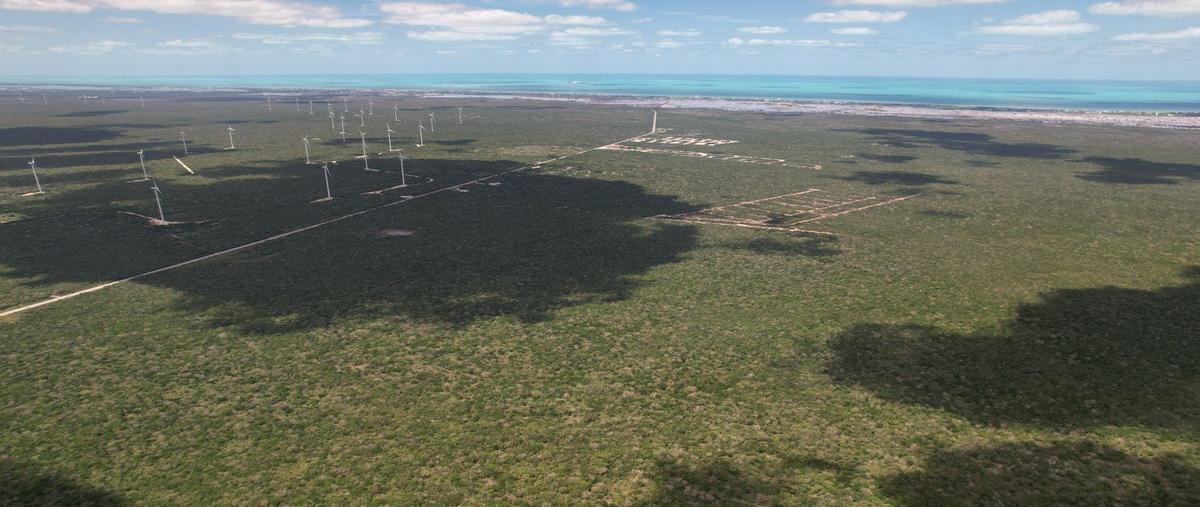 Foto de terreno habitacional en venta en  , chicxulub, chicxulub pueblo, yucatán, 24842205 No. 03
