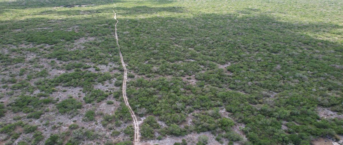 Foto de terreno habitacional en venta en  , chicxulub, chicxulub pueblo, yucatán, 24842205 No. 04