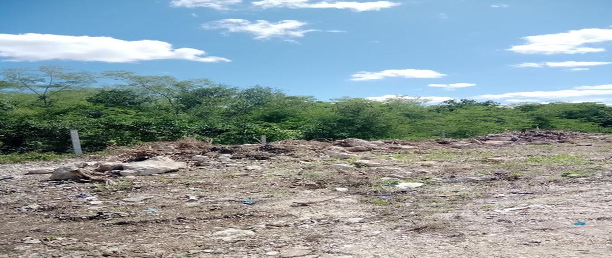 Foto de terreno habitacional en venta en  , chicxulub, chicxulub pueblo, yucatán, 26237070 No. 05