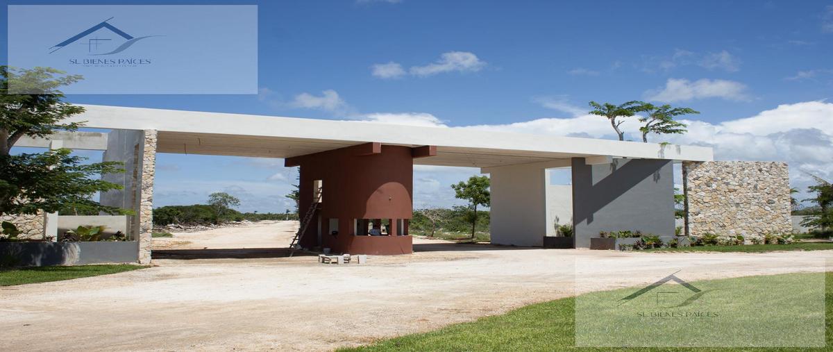 Foto de terreno habitacional en , chicxulub, chicxulub pueblo, yucatán, 27251937 foto 01 Foto de terreno habitacional en venta en , chicxulub, chicxulub pueblo, yucatán, 27251937 No. 01