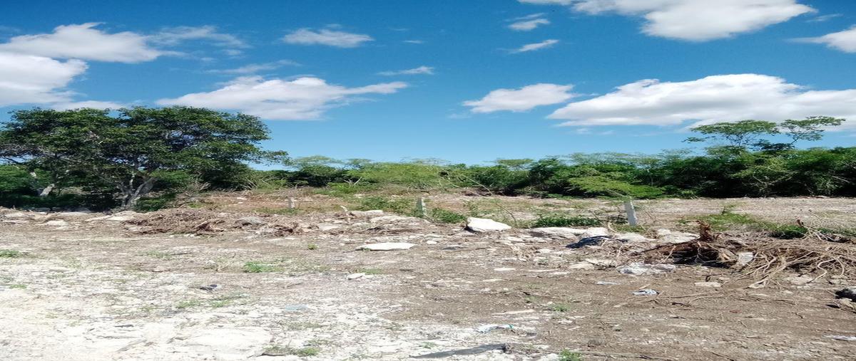 Foto de terreno habitacional en , chicxulub, chicxulub pueblo, yucatán, 0 foto 05 Foto de terreno habitacional en venta en , chicxulub, chicxulub pueblo, yucatán, 0 No. 05