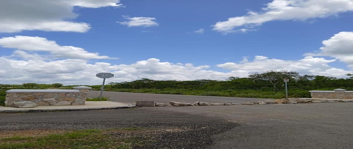 Foto de terreno habitacional en venta en  , chicxulub, chicxulub pueblo, yucatán, 0 No. 04