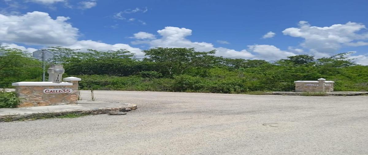Foto de terreno habitacional en venta en  , chicxulub, chicxulub pueblo, yucatán, 0 No. 05