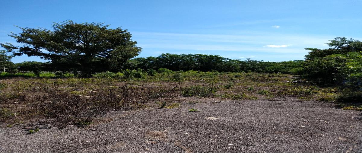 Foto de terreno habitacional en venta en  , chicxulub, chicxulub pueblo, yucatán, 0 No. 03