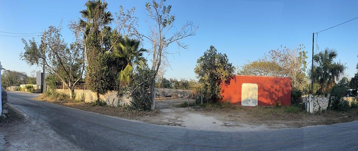 Foto de terreno habitacional en , chicxulub, chicxulub pueblo, yucatán, 27388863 foto 02 Foto de terreno habitacional en venta en , chicxulub, chicxulub pueblo, yucatán, 27388863 No. 02