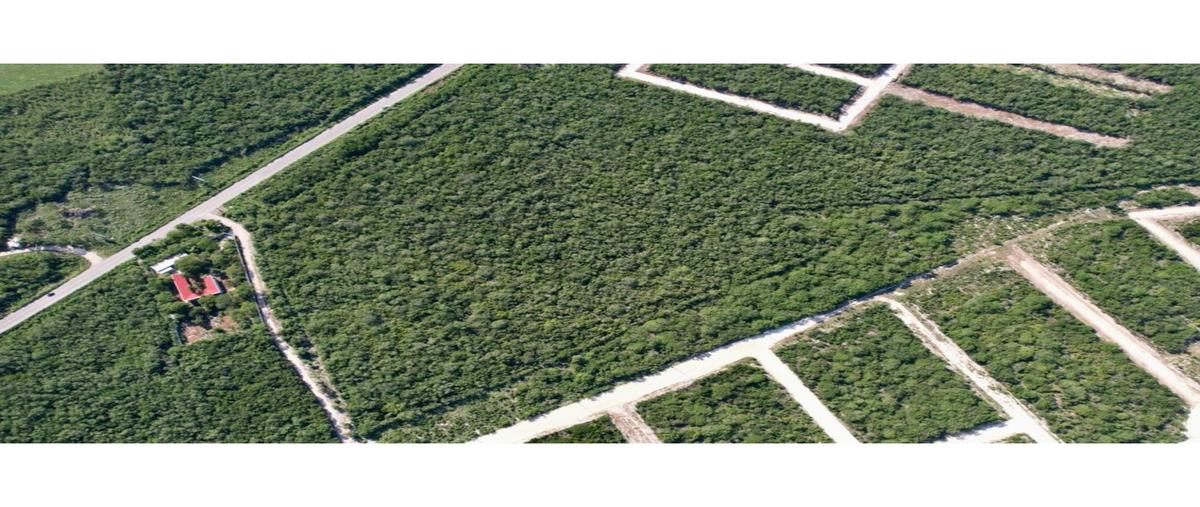 Foto de terreno habitacional en venta en  , chicxulub, chicxulub pueblo, yucatán, 0 No. 03