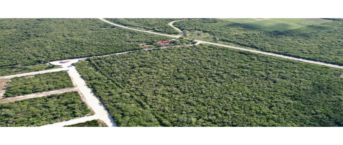 Foto de terreno habitacional en venta en  , chicxulub, chicxulub pueblo, yucatán, 0 No. 05