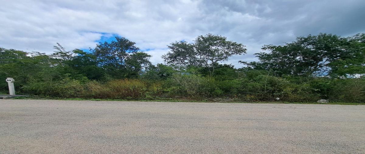 Foto de terreno habitacional en venta en  , chicxulub, chicxulub pueblo, yucatán, 27970834 No. 04