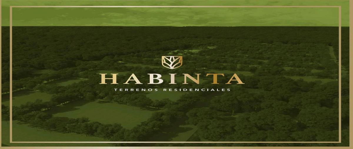 Foto de terreno habitacional en , chicxulub, chicxulub pueblo, yucatán, 0 foto 03 Foto de terreno habitacional en venta en , chicxulub, chicxulub pueblo, yucatán, 0 No. 03