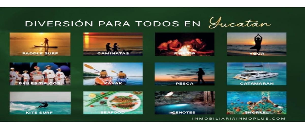 Foto de terreno habitacional en venta en  , chicxulub, chicxulub pueblo, yucatán, 0 No. 05