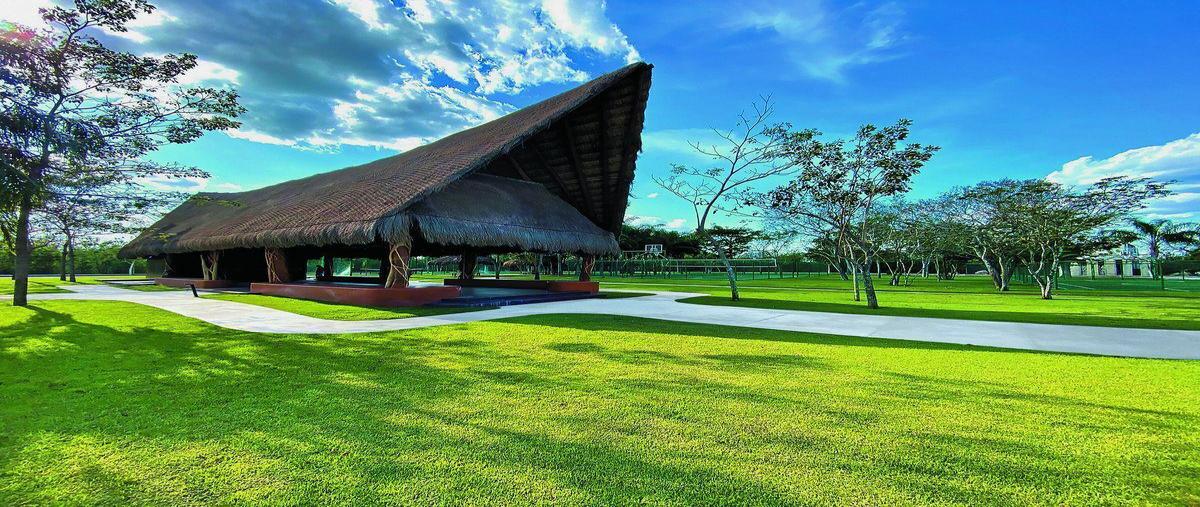 Foto de terreno habitacional en , chicxulub, chicxulub pueblo, yucatán, 0 foto 01 Foto de terreno habitacional en venta en , chicxulub, chicxulub pueblo, yucatán, 0 No. 01
