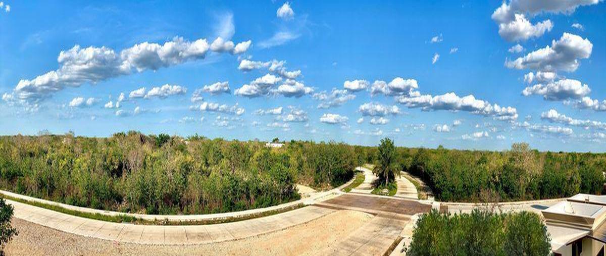 Foto de terreno habitacional en , chicxulub, chicxulub pueblo, yucatán, 0 foto 05 Foto de terreno habitacional en venta en , chicxulub, chicxulub pueblo, yucatán, 0 No. 05