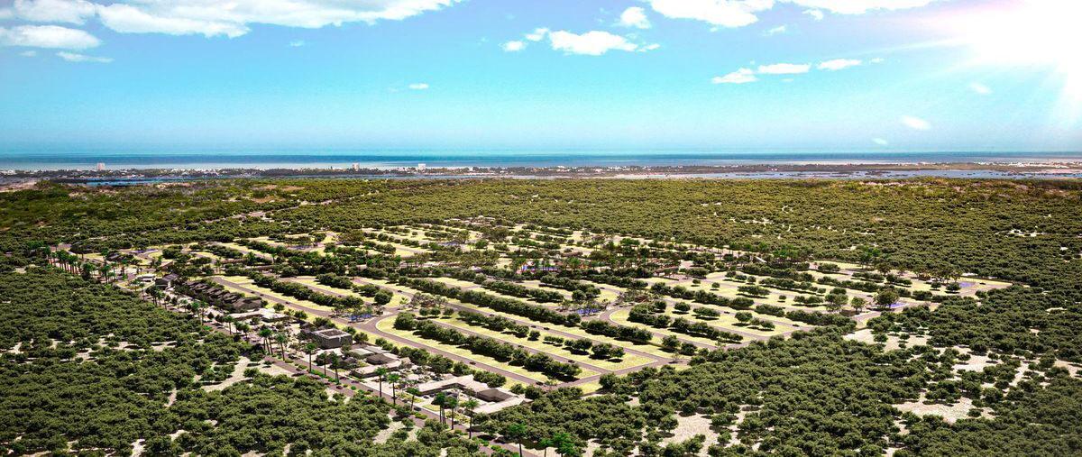 Foto de terreno habitacional en , chicxulub, chicxulub pueblo, yucatán, 0 foto 05 Foto de terreno habitacional en venta en , chicxulub, chicxulub pueblo, yucatán, 0 No. 05