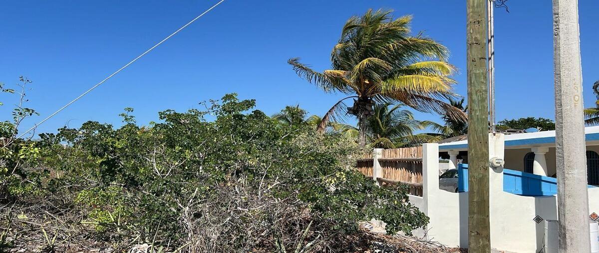 Foto de terreno habitacional en , chicxulub, chicxulub pueblo, yucatán, 28164299 foto 03 Foto de terreno habitacional en renta en , chicxulub, chicxulub pueblo, yucatán, 28164299 No. 03