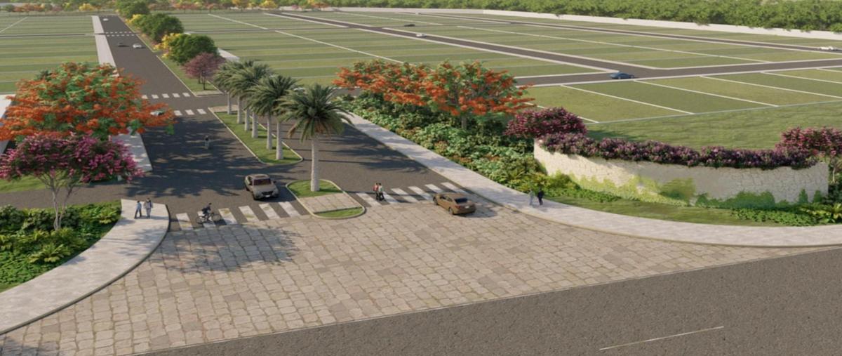 Foto de terreno habitacional en venta en  , chicxulub, chicxulub pueblo, yucatán, 0 No. 03