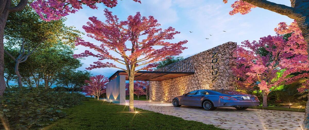 Foto de terreno habitacional en venta en . , chicxulub, chicxulub pueblo, yucatán, 0 No. 03