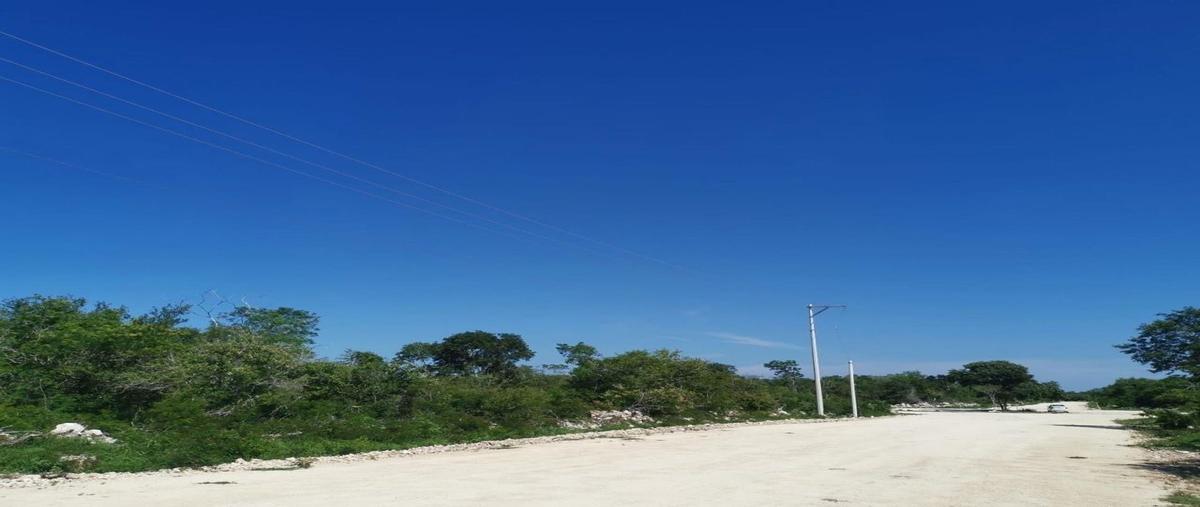 Foto de terreno habitacional en venta en  , chicxulub, chicxulub pueblo, yucatán, 28480892 No. 03