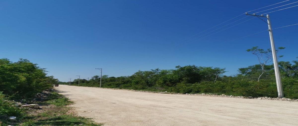 Foto de terreno habitacional en venta en  , chicxulub, chicxulub pueblo, yucatán, 28480892 No. 04