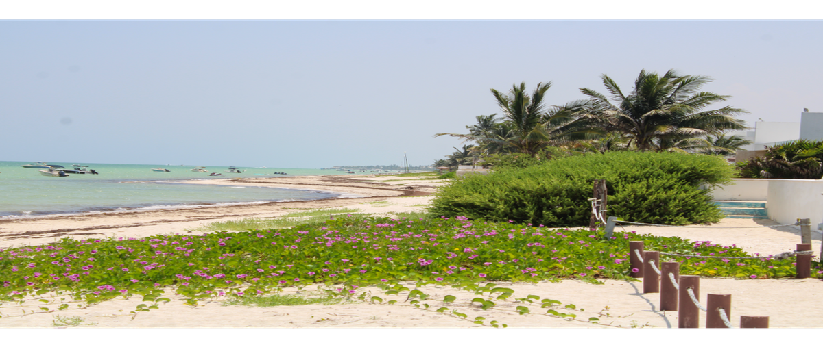 Foto de terreno habitacional en venta en  , chicxulub, chicxulub pueblo, yucatán, 0 No. 04