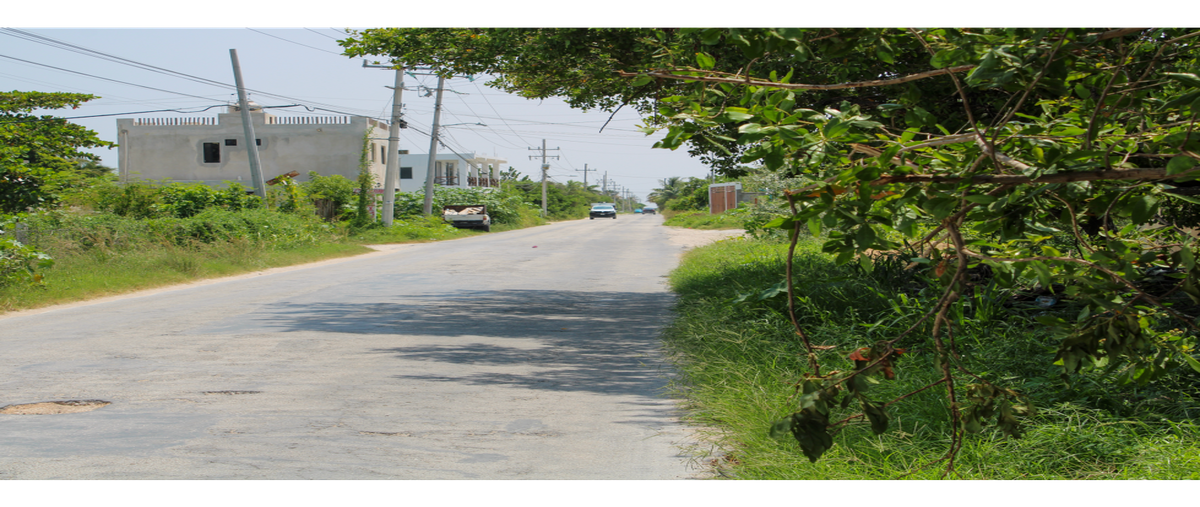 Foto de terreno habitacional en venta en  , chicxulub, chicxulub pueblo, yucatán, 0 No. 05