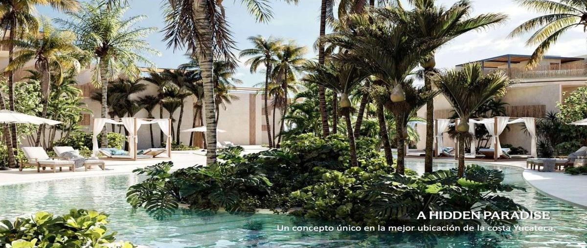 Foto de departamento en , chicxulub, chicxulub pueblo, yucatán, 0 foto 04 Foto de departamento en venta en , chicxulub, chicxulub pueblo, yucatán, 0 No. 04