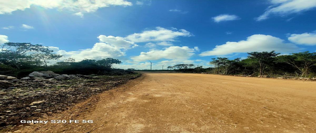 Foto de terreno habitacional en , chicxulub, chicxulub pueblo, yucatán, 0 foto 02 Foto de terreno habitacional en venta en , chicxulub, chicxulub pueblo, yucatán, 0 No. 02