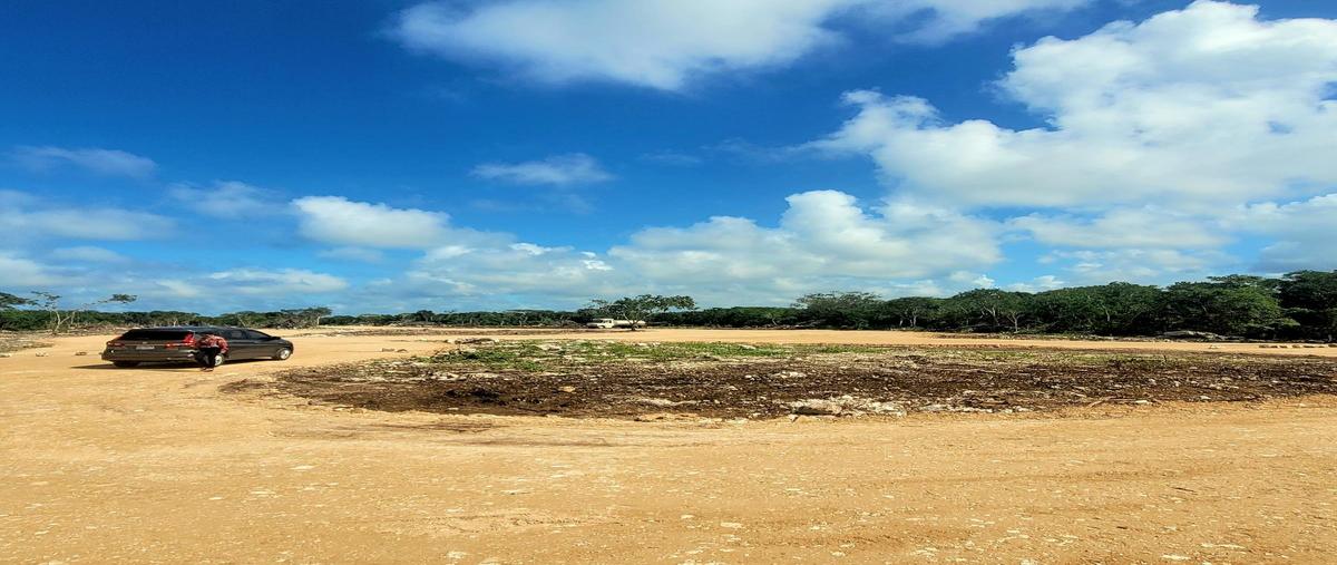 Foto de terreno habitacional en , chicxulub, chicxulub pueblo, yucatán, 28855768 foto 05 Foto de terreno habitacional en venta en , chicxulub, chicxulub pueblo, yucatán, 28855768 No. 05