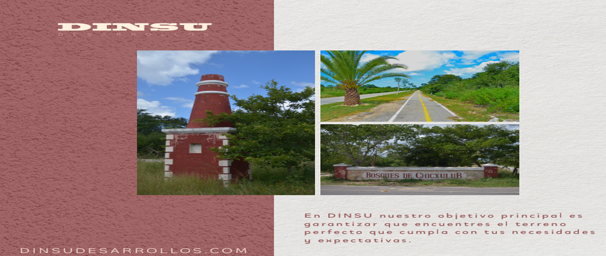 Foto de terreno habitacional en venta en  , chicxulub, chicxulub pueblo, yucatán, 29338105 No. 04
