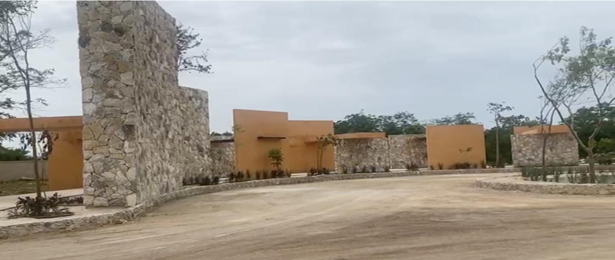 Foto de terreno habitacional en , chicxulub, chicxulub pueblo, yucatán, 0 foto 02 Foto de terreno habitacional en venta en , chicxulub, chicxulub pueblo, yucatán, 0 No. 02