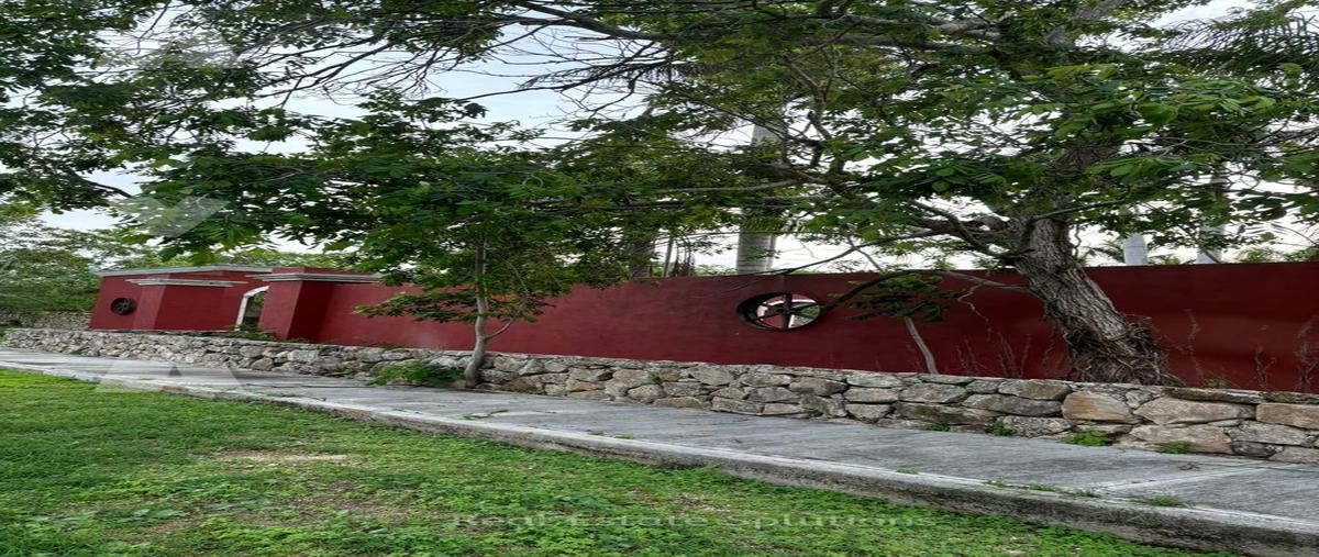 Foto de terreno habitacional en venta en  , chicxulub, chicxulub pueblo, yucatán, 0 No. 05