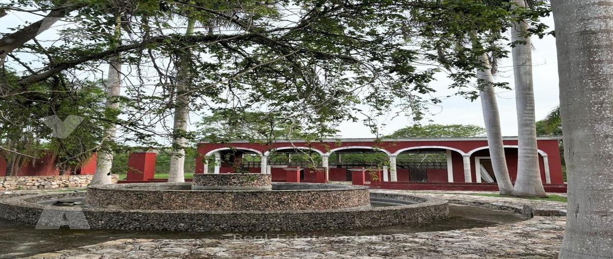 Foto de casa en venta en  , chicxulub, chicxulub pueblo, yucatán, 0 No. 04