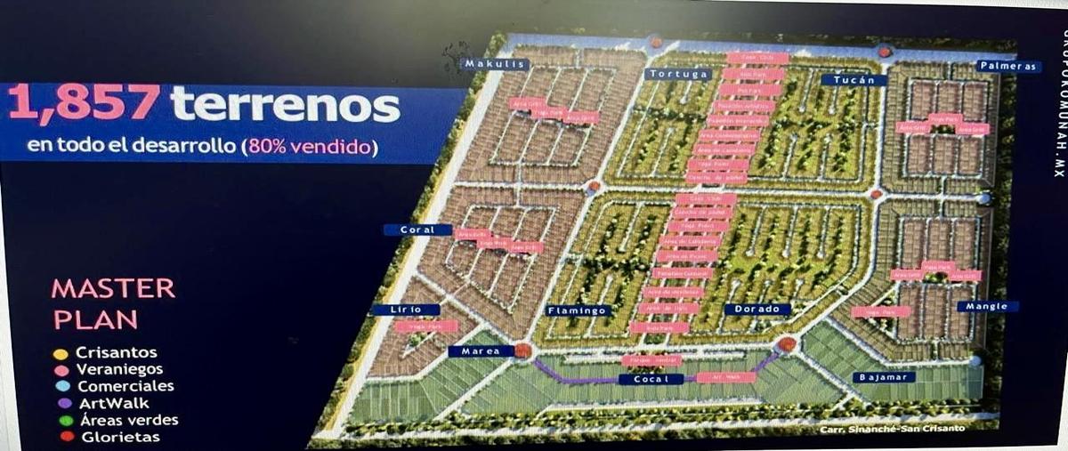 Foto de terreno habitacional en venta en  , chicxulub, chicxulub pueblo, yucatán, 0 No. 05