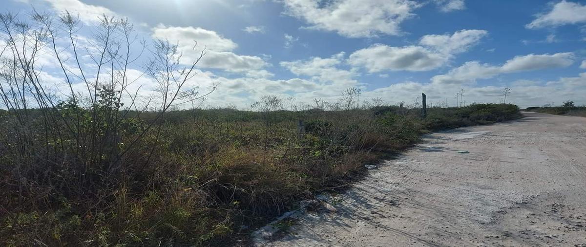 Foto de terreno habitacional en , chicxulub, chicxulub pueblo, yucatán, 30319924 foto 04 Foto de terreno habitacional en venta en , chicxulub, chicxulub pueblo, yucatán, 30319924 No. 04