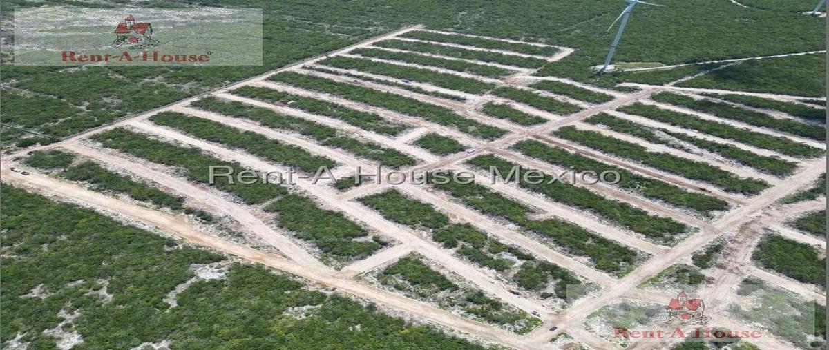 Foto de terreno habitacional en , chicxulub, chicxulub pueblo, yucatán, 30390630 foto 01 Foto de terreno habitacional en renta en , chicxulub, chicxulub pueblo, yucatán, 30390630 No. 01