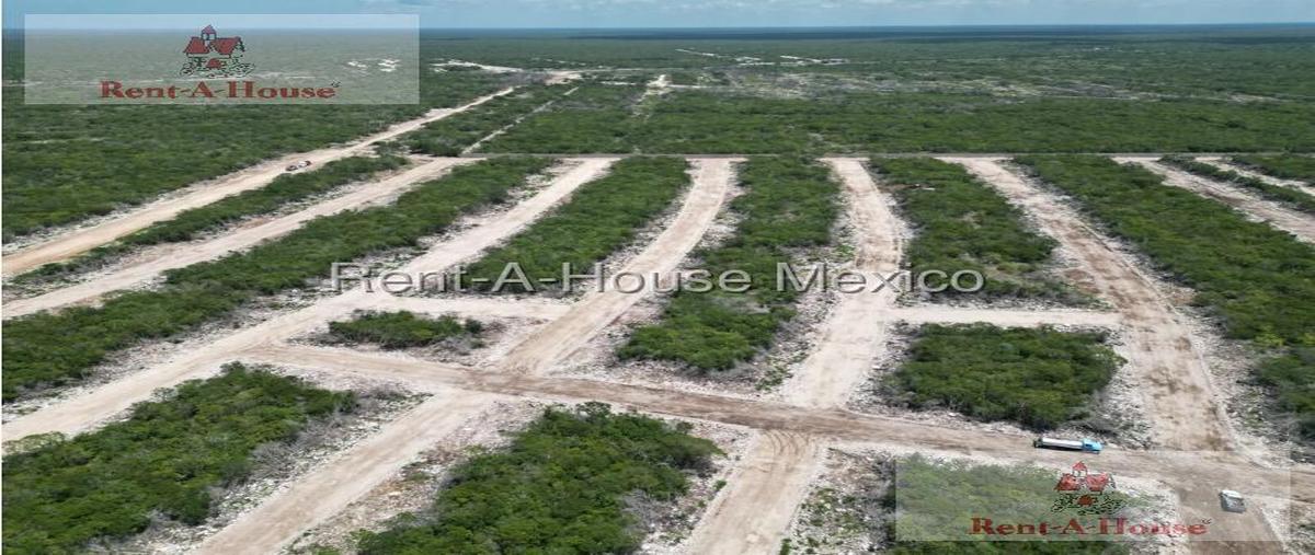 Foto de terreno habitacional en , chicxulub, chicxulub pueblo, yucatán, 30390630 foto 02 Foto de terreno habitacional en renta en , chicxulub, chicxulub pueblo, yucatán, 30390630 No. 02