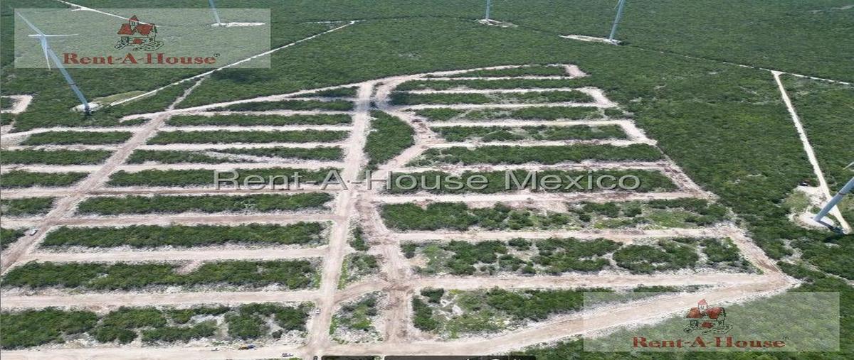 Foto de terreno habitacional en , chicxulub, chicxulub pueblo, yucatán, 30390630 foto 03 Foto de terreno habitacional en renta en , chicxulub, chicxulub pueblo, yucatán, 30390630 No. 03