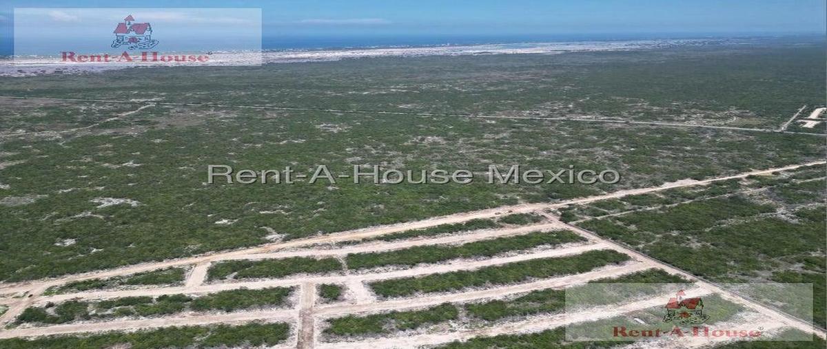 Foto de terreno habitacional en , chicxulub, chicxulub pueblo, yucatán, 30390630 foto 04 Foto de terreno habitacional en renta en , chicxulub, chicxulub pueblo, yucatán, 30390630 No. 04