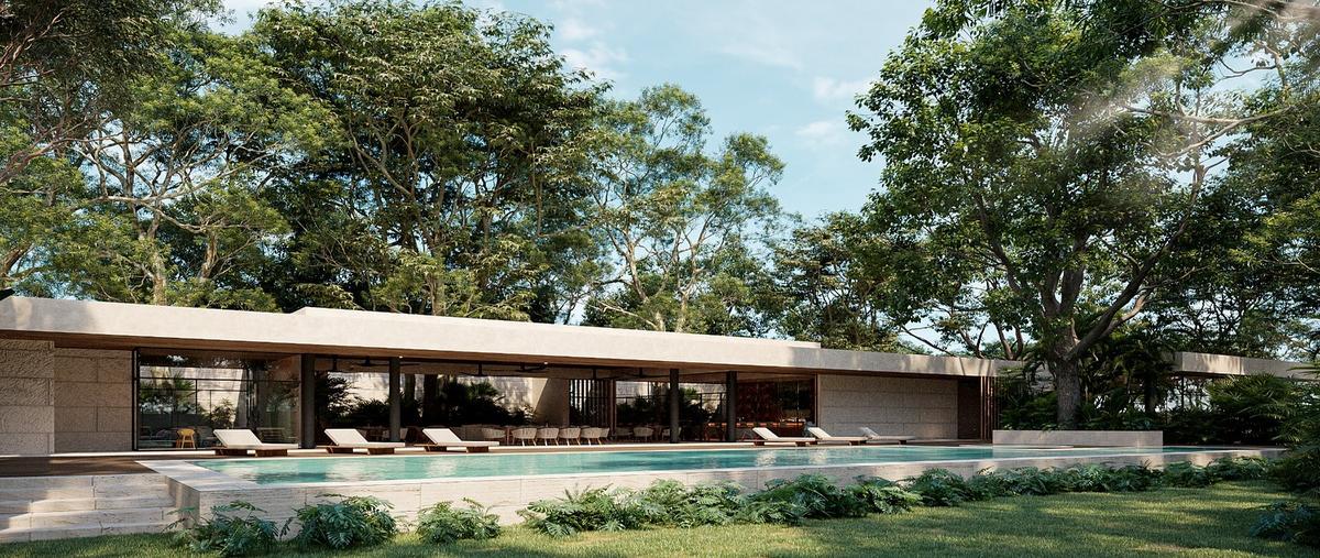 Foto de terreno habitacional en , chicxulub, chicxulub pueblo, yucatán, 0 foto 01 Foto de terreno habitacional en venta en , chicxulub, chicxulub pueblo, yucatán, 0 No. 01