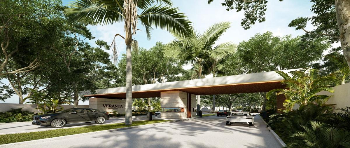 Foto de terreno habitacional en , chicxulub, chicxulub pueblo, yucatán, 0 foto 03 Foto de terreno habitacional en venta en , chicxulub, chicxulub pueblo, yucatán, 0 No. 03