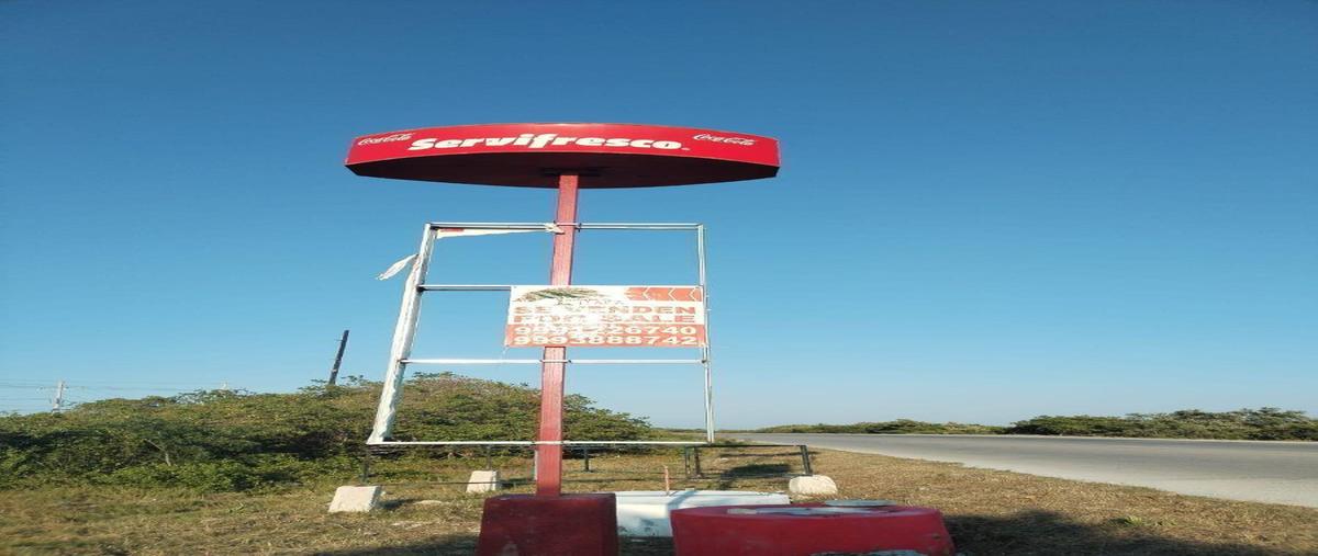 Foto de terreno habitacional en venta en  , chicxulub, chicxulub pueblo, yucatán, 30609787 No. 04