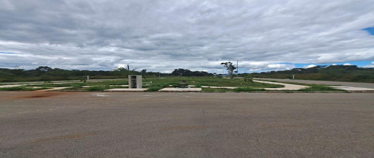 Foto de terreno habitacional en venta en  , chicxulub, chicxulub pueblo, yucatán, 30710825 No. 05